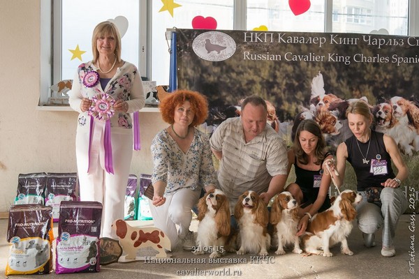 ANGELGIN Best kennel.jpg